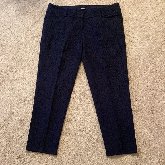 The Limited Navy Blue Capri Pants - Picture 2 of 4